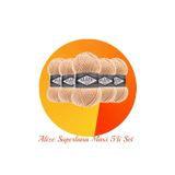 Alize Süperlana Maxi 5'li Set Kalın El Örgü Ipi 502 Karamel