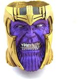 ALK Polyester Thanos Kalemlik