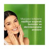 Alkar Ticaret Himalaya Since 1930 Aydınlatıcı Yüz Temizleyici Scrub, Peeling Etkili, Meyan Kökü, Kayısı, Parabensiz, Tüm Ciltler 75 ml - Option-1