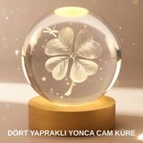 Alkasaz Bitki Temalı LED Işıklı Cam Küre Ahşap Standlı Modern Gece Lambası - GGGGGG1376-4264