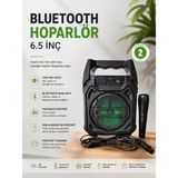 Alkasaz Bluetooth Hoparlör Mikrofonlu Taşınabilir Ses Sistemi Fm Radyo, Usb, Sd Kart ve Tws Özellikli