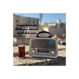 All Avcill 301 Şarjlı Nostaljik Görünümlü Fenerli Radyo Bluetoothlu Mp3 Çalar Radyo Müzik Kutusu Koyu Kahve