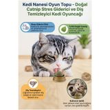 ALL FAST Kedi Nanesi Oyun Topu - Doğal Catnip Stres Giderici ve Diş Temizleyici Kedi Oyuncağı