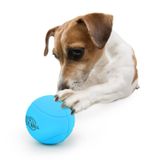 ALL FOR PAWS AFP Köpek Oyuncakları Köpek Topu Can Sıkıntısı ve uyarıcı Açık Köpek Oyuncakları Meta Top Köpek Oyuncakları (Standart Tenis Boyutu Sıçrama ve Çıngırak Kauçuk Top) Orta Köpekler için