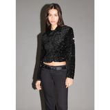 Allbucks Mango, Payetli Blazer Ceket ABMNG3737 - Siyah