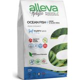 Alleva Holistik Balık Tahılsız Maxi Yavru Köpek Maması 2 kg