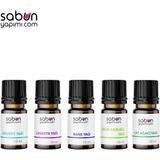 Allgreen Aromatik Yağ Seti 5'li - Lavanta, Nane, Biberiye, Limon, Çay Ağacı