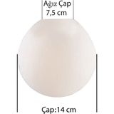 Allians 14 cm Mat Karpuz Avize Camı, Şık ve Hafif Aydınlatma Için - Seçenek 1 - Ahşap - Beyaz