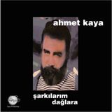 Allians Ahmet Kaya Şarkılarım Dağlara Lp - Melodilerin Büyüleyici Dünyası