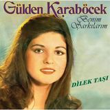 Allians Benim Şarkılarım Plak - Gülden Karaböcek Dilek Taşı Koleksiyonu