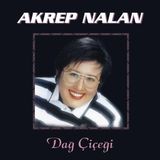 Allians Dağ Çiçeği Temiz ve Canlı Parfüm Kokusu, Ferahlatıcı Esans
