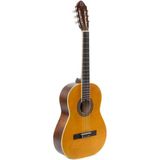 Allians Klasik Gitar Seti: Kılıf, Pena ve Akord Cihazı ile Tam Donanımlı - Ahşap - Bej - Seçenek 1
