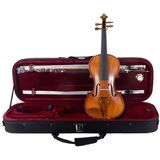 Allians Rösler RS3A 4/4 Keman ve Hediye Keman Yastığı ile Müzik Keyfi - Seçenek 1