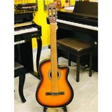 Allians Tam Boy Klasik Gitar, Kılıf ve Penase With Kapo Hediye - Seçenek 1 - Altın