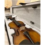 Allians Yüksek Kaliteli 4/4 Keman Seti, Profesyonel ve Eğlenceli Müzik Deneyimi - Seçenek 1