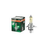 Allseason H4 Ampul 2 Li (Kolormatik) Als-H4 - 1 - 10 W