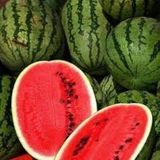 Allsweet Karpuz Tohumu