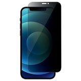 Ally Iphone 12 Mini Privacy Gizli Hayalet Tempered Cam Ekran Koruyucu AL-34225