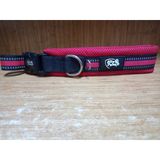 Ally Paws Dog Collar Köpek Boyun Tasması Large