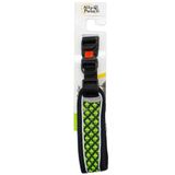 Ally Paws Dog Collar Köpek Boyun Tasması Medium 2cmx35-50cm