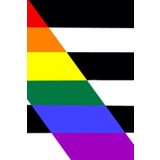 Ally Pride Flag Notebook: Gay, Lesbian, Transgender, LGBTQ+ | 120 Lined Pages, 6"x9" Gloss Finish