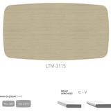 Allzalit Cdf Masa Tablası 90X180 - DCLTM3115