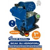 Alman Bakır Sargılı Sıcak Su Hidroforu - Soğuk Su Hidroforu DGP130B 0.37 Kw 0.55 Hp Basınç Arttırıcı Su Bahçe Bina Dublex Hidroforu