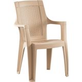 Almina Plastik Sandalye Bahçe Balkon ve Teras Sandalyesi 6 Adet - Bej - Krem