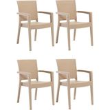 Almina Rattan Sandalye 4 Kişilik Kollu Koltuk Bahçe Balkon Teras Sandalyesi - Bej - Krem