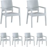 Almina Rattan Sandalye 6 Kişilik Kollu Koltuk Bahçe Balkon Teras Sandalyesi - Beyaz