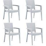 Almina Rattan Sandalye Kollu Koltuk Bahçe Balkon Teras Sandalyesi 4 Adet - Beyaz