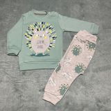 Almini Yeni Sezon 2 Parça Kirpi Baskılı Unisex Bebek Takımı - Yeşil - 9 Ay