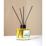 Alovera Kokulu 110ML Bambu Cubuklu Oda ve Ortam Kokusu