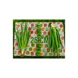 Alovia 25 cm alovera Fidanı Aloe Vera Canlı Anaç Odunsu Köklü Aloe Barbadensis Miller Saksısız Sarı Sabır Bitkisi