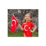 Alpaka 15 Adet 20X30 Cm - Bez Kumaş Sopalı Türk Bayrağı