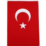 Alpaka 30x45 Türk Bayrağı