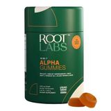 Alpha Gummies 60 Gummies │ 10 İn 1 │ +4000 Mg Shilajit