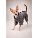 Alphadog Coverall Fume Astarlı Köpek Kıyafeti Mont Tulum Yağmurluk