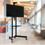 ALPİN TV/Fuar Standı İş Yeri ve Ofis Tipi Video Kamera Askı Aparatlı Metal Ayaklı Tekerlekli TV Standı/Ünitesi 40" inç- 75" inç