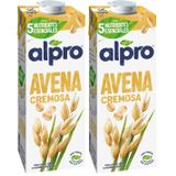 Alpro Yulaf Bitki Bazlı İçecek 1 L 2li paket