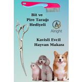 Alright Kavisli Gümüş Profesyonel Evcil Hayvan Kedi ve Köpek Tasarım Makası Bit ve Pire Tarağı Hediyeli