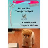Alright Kavisli Gümüş Profesyonel Evcil Hayvan Köpek Tıraş ve Tasarım Makası+ Pire Tarağı