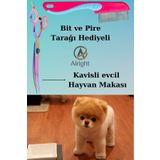 Alright Kavisli Rainbow Profesyonel Evcil Hayvan Köpek Tıraş ve Tasarım Makası