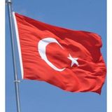 Alsancak 100X150 Cm Alpaka Kumaş Türk Bayrağı