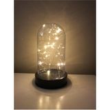 Alshop Mika Ters Fanus 18 cm + 3 Metre Peri LED Kaliteli Plastik Ürün Boyutu 11 cm