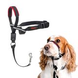 ALT Optifit Baş Tasması - Dolgulu Burun Bandı, Ayarlanabilir Yansıtıcı, Orta Boy için Profesyonel Çekme Önleyici Yardımcısı (M Boy)