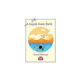 Altaylı Yayınları Küçük Kara Balık