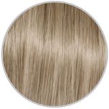 Alterego 10/3 Platin Altın 100 ML Saç Boyası
