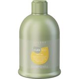 Alterego Italy Curego Silk Oil Kabaran ve Asi Saçlar İçin Düzleştirici Krem 300 ml