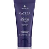 Alterna 40 ml Yenileyici ve Nemlendirici Şampuan